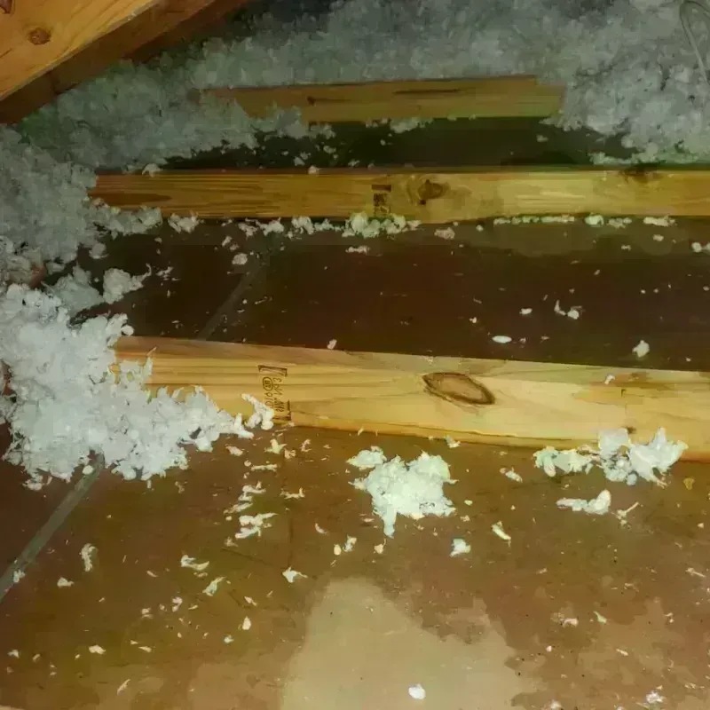 Attic Water Damage in Mullins, SC